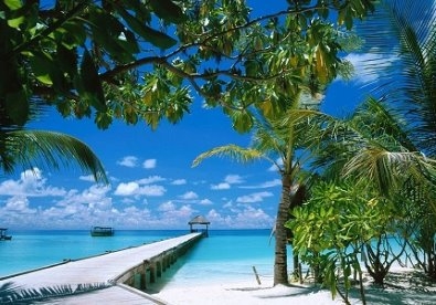 5 bãi biển Việt Nam nổi tiếng là "thiên đường sung sướng"